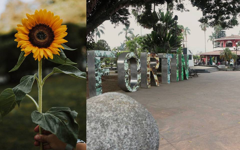Turismo Veracruz: ¿Dónde se encuentra el Parque de Floricultura de Fortín  de las Flores? MAPA - El Sol de Córdoba | Noticias Locales, Policiacas,  sobre México, Veracruz y el Mundo