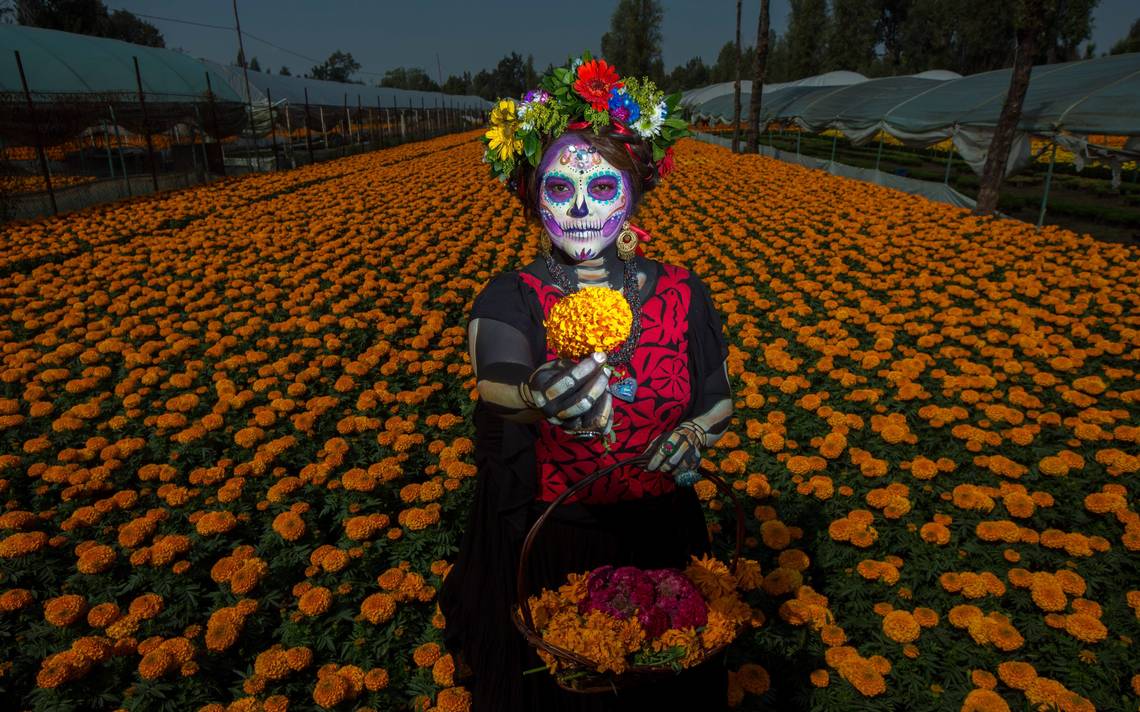 Cuáles son los mejores destinos en México para conmemorar el Día de Muertos?  [MAPA] - El Sol de Córdoba | Noticias Locales, Policiacas, sobre México,  Veracruz y el Mundo