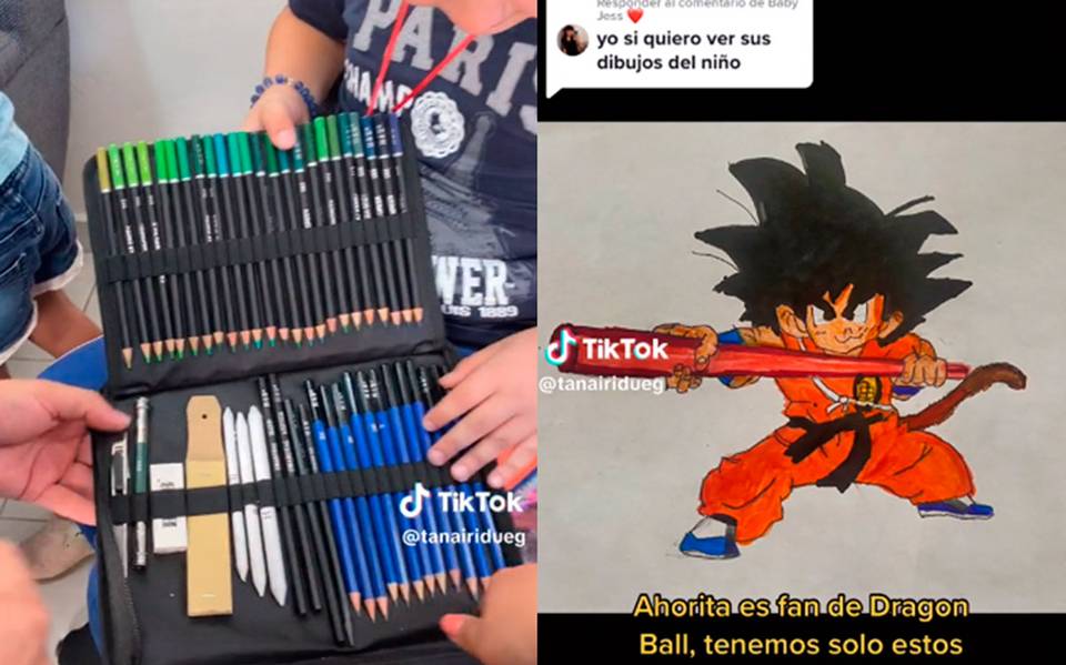 Dibujos Profesional