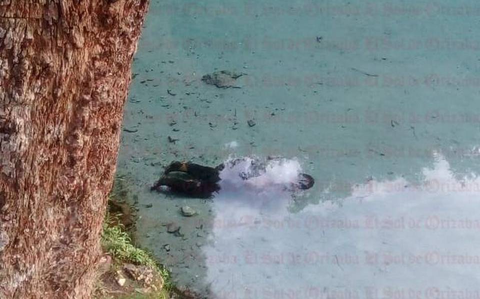 Hallan a persona ahogada en la laguna de Nogales - El Sol de Córdoba |  Noticias Locales, Policiacas, sobre México, Veracruz y el Mundo