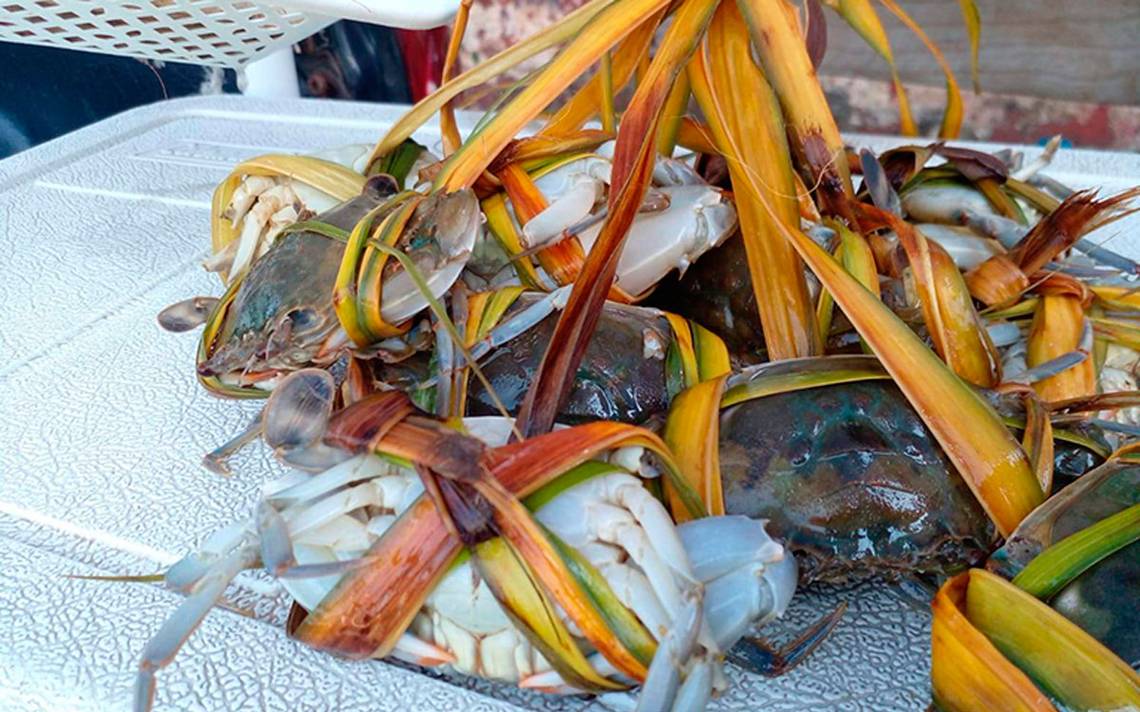 Cuáles platillos con mariscos se pueden cocinar para la cena de fin de año?  - El Sol de Orizaba | Noticias Locales, Policiacas, sobre México, Veracruz  y el Mundo